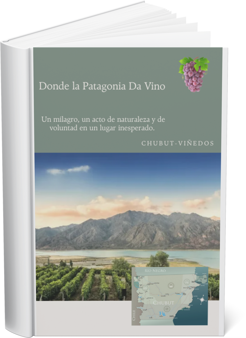 Vino de Patagonia: Ruta Extrema del Sur