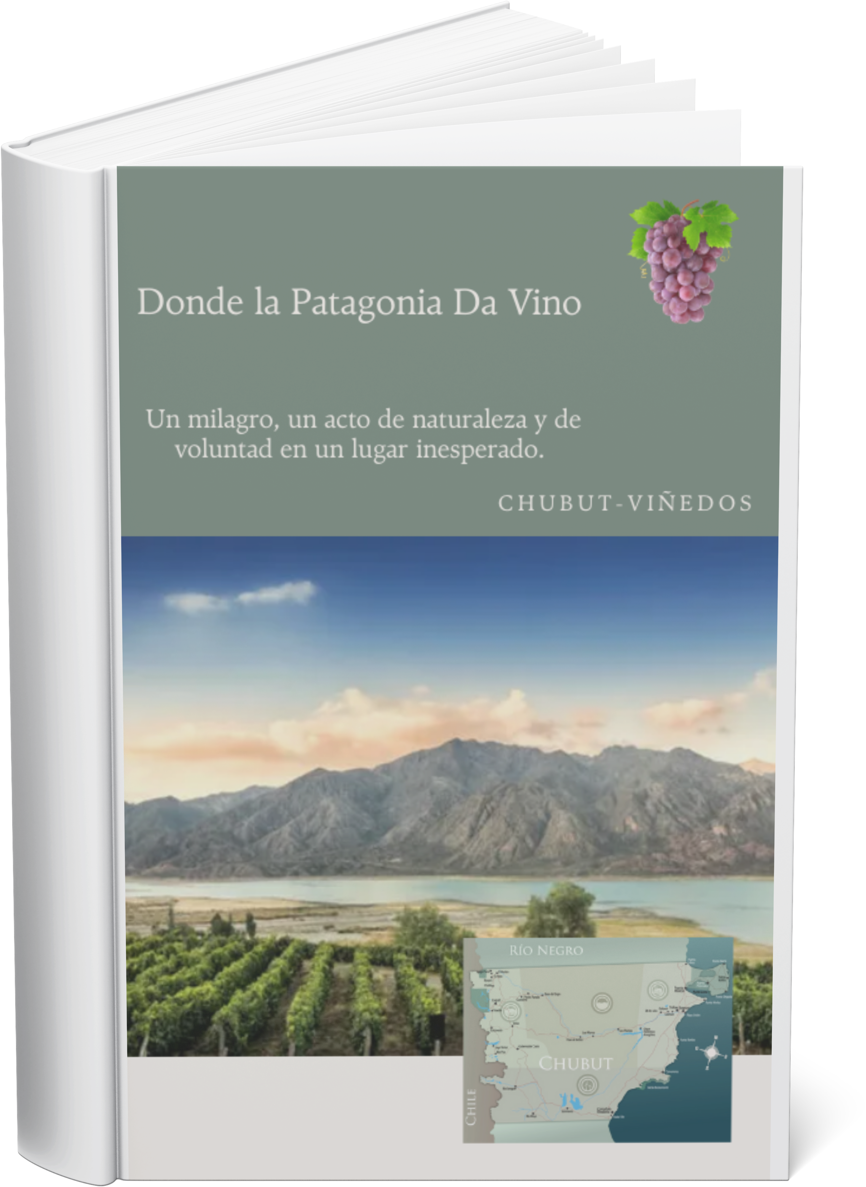 Vino de Patagonia: Ruta Extrema del Sur